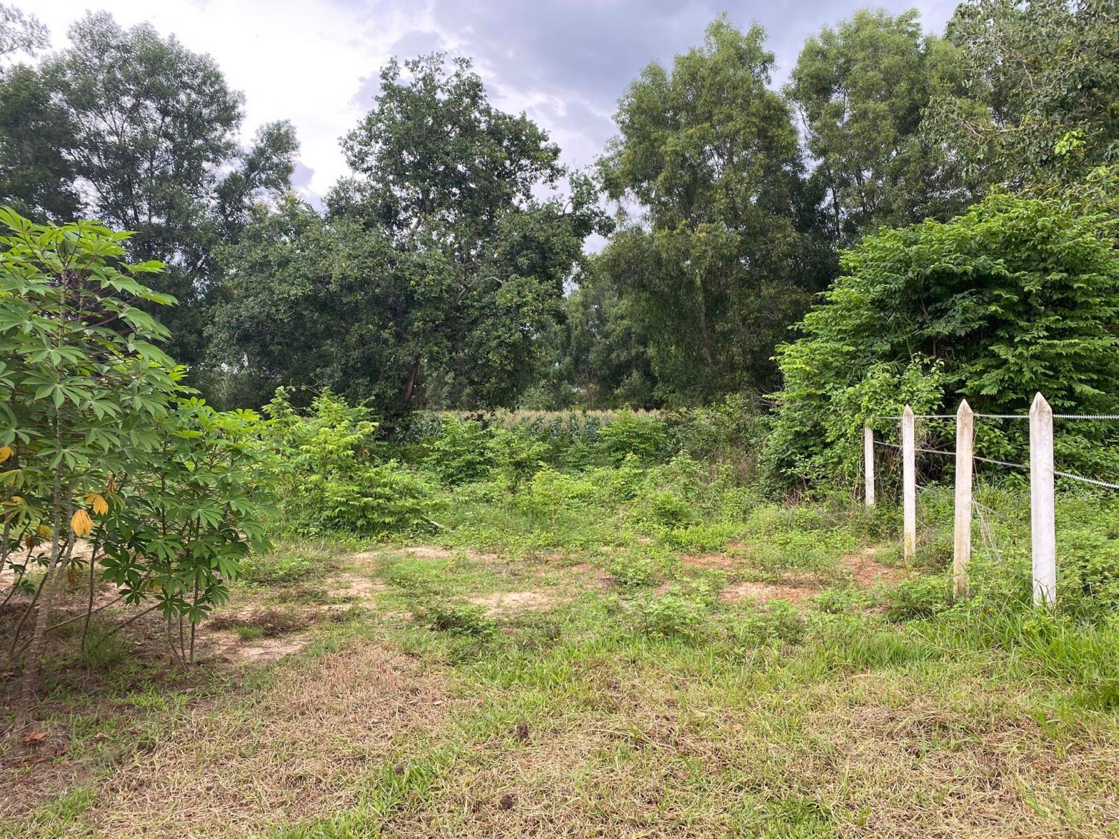 Chuyển đổi mục đích sử dụng từ đất vườn sang đất ở